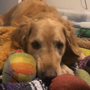 Meet your Posher, Stephen